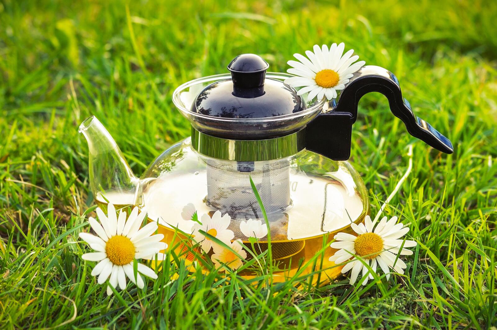 Theetuin, limonadetuin of pizzatuin?