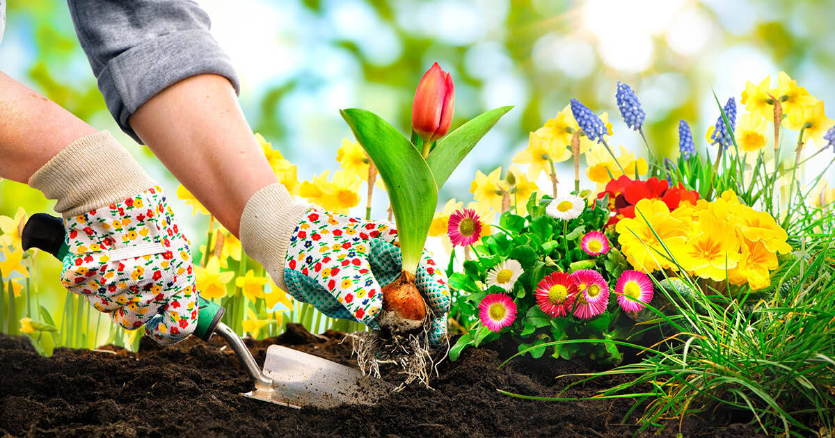 Lente Opendeur