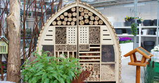 Waarom een insectenhotel in je tuin een goed idee is