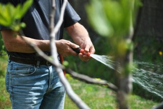 Tips voor het water geven van je planten bij warm weer