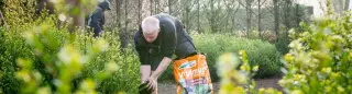 Gezonde bodem = gezonde planten
